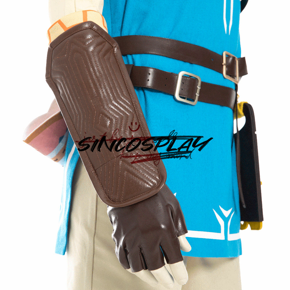 The Legend of Zelda Cosplay Link Cosplay Costume